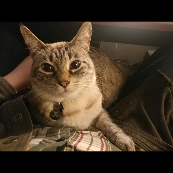 Hey! Nice to meet you. - Picture 2 of 6